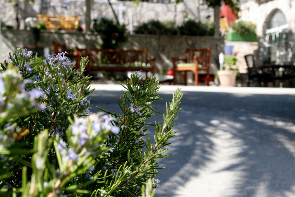 סלאנו Apartment Vila Anka מראה חיצוני תמונה